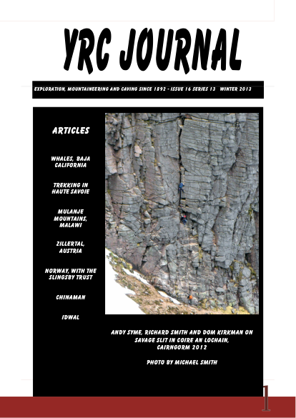 YRCJ 2013; 13(16) cover